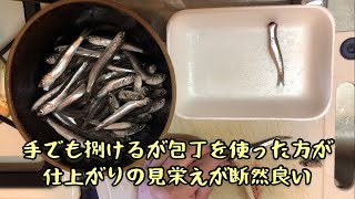 刺身用 小いわしの処理〜美味しく食べる方法〜