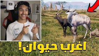 انيمليا سيرفايفل #21 : التحديث الجديد واغرب حيوان!😳🔥| Animalia Survival