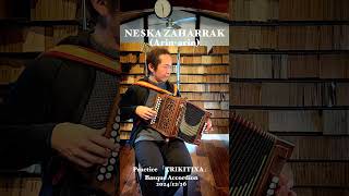 【TRIKITIXA🪗】NESKA ZAHARRAK(Arin-arin) #busque #accordion #trikitixa #celt