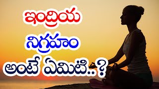 ఇంద్రియ నిగ్రహం అంటే ఏమిటి..? | G.Sitasarma Success Mantra