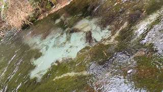 長野　上高地　自然探勝ゾーン　Nagano KamiKochi Exploring zone　紅葉　autumn leaves🍁