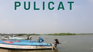 Pulicat ( Palaverkadu ) One Day Trip 🏍 | Best Place to Visit Near Chennai #pulicatlake