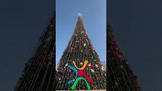 Largest Christmas tree @ Kottayam