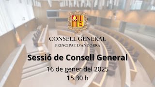 Sessió de Consell General