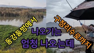 둠벙과//수로를//접수했습니다//엄청나오는데...#붕어낚시 #붕어