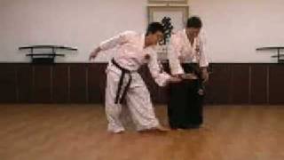 DVD Hankido Basics 2