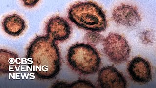 239 scientists warn World Health Organization of airborne transmission risks from coronavirus