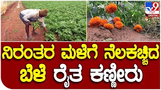 Heavy Rain :  ನಿರಂತರ ಮಳೆ​ಯಿಂದಾಗಿ ನೆಲಕಚ್ಚಿದ ಬೆಳೆ ಕಂಗಾಲಾದ ಅನ್ನದಾತ | #TV9D