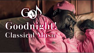 Sleep soundly with soothing classical music 🦍 #classicalmusic #relax #sleepmusic #lullaby #goodnight