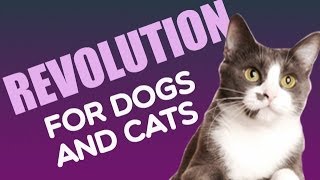 Revolution for Dogs and Cats (Heartworm + Flea/Tick Prevention)