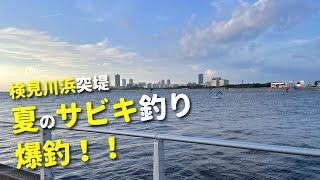 検見川浜突堤でサビキ爆釣！夏の終わりの夕まづめにサビキで入れ食い祭り！