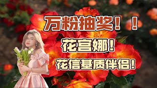 万粉庆典抽奖！！！我只是想要一棵花宫娜～月季小苗+花信大包装基质伴侣，祝大家好运！