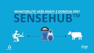 SenseHub animation 6 dobrych duvodu 01 CZ