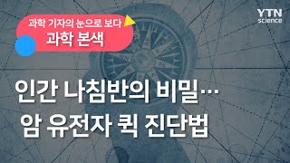 [과학본색] 인간 나침반의 비밀…암 유전자 퀵 진단법 / YTN 사이언스