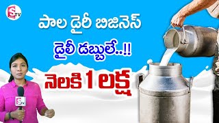 Milk Dairy Business | Dairy Farming Business | High Profit Business | Business ideas | Sumantv