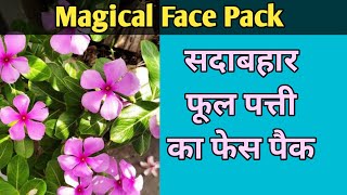 Sadabahar Flowers Face Pack | Periwinkle flower,  सदाबहार फूल और पत्ती से घर पर बनाए फेस पैक