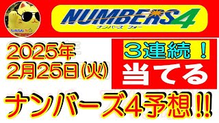 【ナンバーズ4予想】3連続！ ✨ボックス並びできてくれました❣　　2025年 2月25日の予想‼　参考程度に見てくださいね❣👀