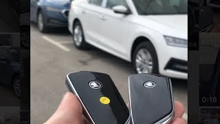 2x NEW Skoda Octavia A8 Just arived 2021 TDI \u0026 TSI