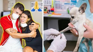 Our DOG Needs SURGERY! **EMOTIONAL** 😢 | The Royalty Family