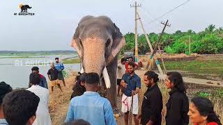 അക്കരമേൽ ശേഖരനും.. സൈനുക്കയും ഇന്റെ മൊതലാളി ഉണ്ടകിൽ പിന്നെ ഒന്നും നോക്കാനില്ല.. 🔥🔥🔥😍😍