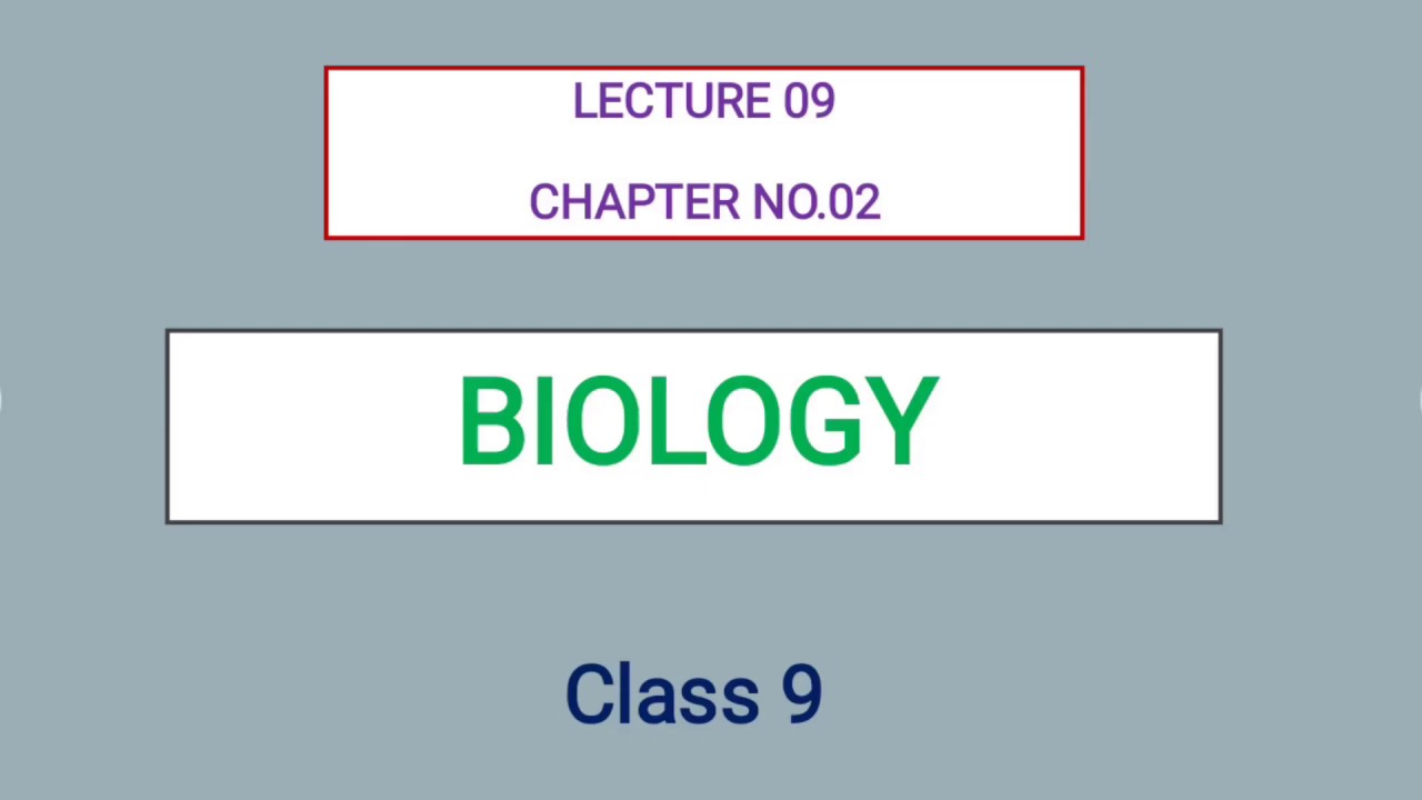 Biology 9 | Lecture 09 - YouTube