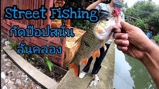 Street Fishing กระสูบคลองกัดดังสนั่นลั่นคลอง