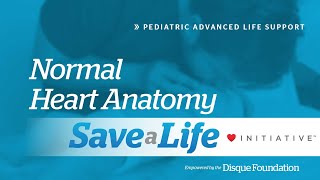 4a: Normal Heart Anatomy for PALS (2021) OLD