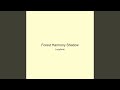 Forest Harmony Shadow