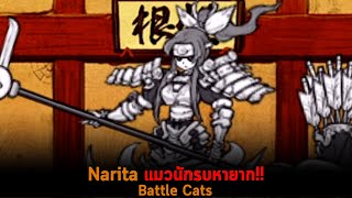 Narita แมวนักรบหายาก Battle Cats