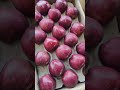 किन्नौर सेब का थोक मंडी रेट azadpur mandi delhi trending frutas apple mandibhav