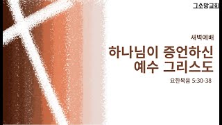 하나님이 증언하신 예수 그리스도ㅣ요한복음 5:30-38 ㅣ그소망교회 새벽예배ㅣ2025.1.17