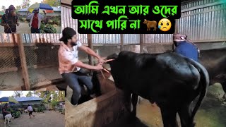 আমি এখন আর ওদের সাথে পারি না 🐂😥