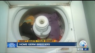 Home Germ Breeders