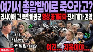 [해외감동사연] \