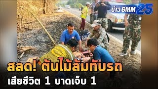 ต้นไม้ถูกไฟไหม้ ล้มทับรถกระบะ ทำเด็ก 12 ดับ | ข่าว GMM25