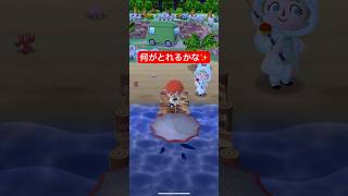 【ポケ森】レア魚GETチャレンジ part4