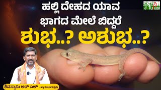 What happens if Lizard falls on our Body? | ಹಲ್ಲಿ ಮೈಮೇಲೆ ಬಿದ್ರೆ ಒಳ್ಳೇದಾ? ಕೆಟ್ಟದ್ದಾ?