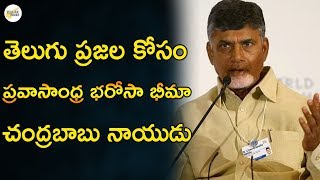 తెలుగు ప్రజల కోసం ప్రవాసాంధ్ర భరోసా భీమా చంద్రబాబు నాయుడు | CM ChandraBabu Naidu | Telugu Insider