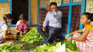 খাসিয়া পুঞ্জির সম্প্রদায় জীবন,  একটি পান পাতার উপর নির্ভর করে জীবিকা নির্বাহ করে।