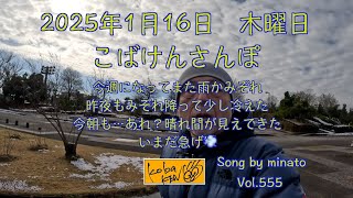 2025年1月16日　木曜日　こばけんさんぽ