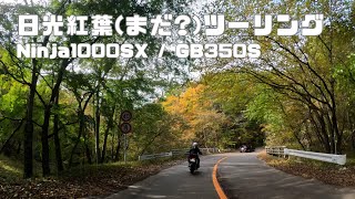 #41 2024年10月27日日光紅葉ツーリング