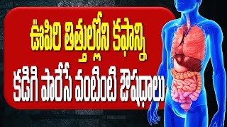 ఊపిరి తిత్తుల్లోని కఫాన్ని కడిగి పారేసే వంటింటి ఔషధాలు! How to Get Rid of Phlegm: Home Remedies,Tips