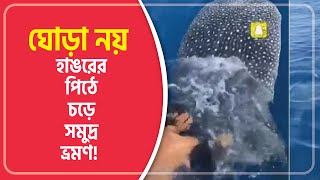 ঘোড়া নয় হাঙরের পিঠে চড়ে সমুদ্র ভ্রমণ(2021)|Sea voyage on the back of a huge shark | Mojar Baaper|