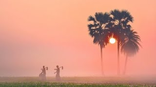 কুয়াশাচ্ছন্ন একটি শীতের সকাল