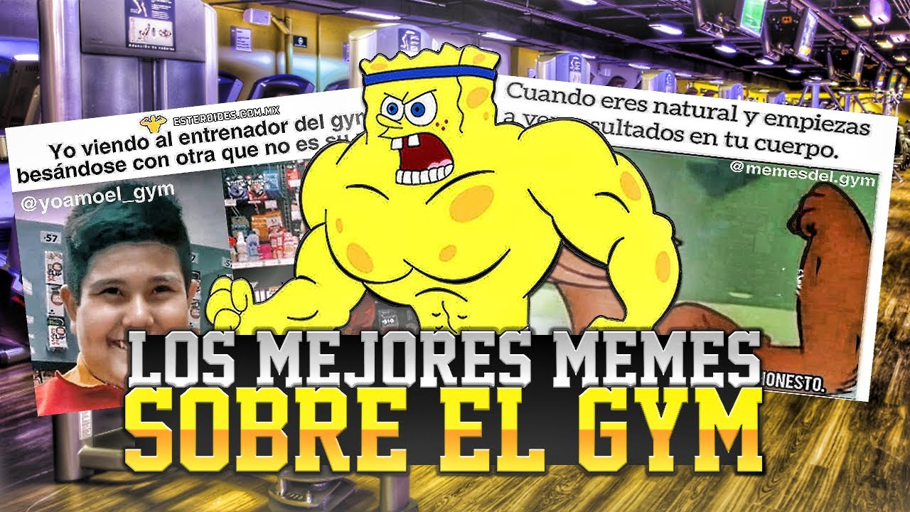 Gym Memes Gains