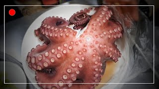 [대구맛집]노마에 아지트 30 선정 사장님 이렇게 다 맛있으면 곤란합니다/포항실비