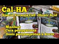 DOSIS CALHA PUPUK KALSIUM DAN ASAM HUMAT