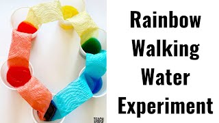 Rainbow Walking Water Experiment