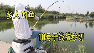 今天釣魚多遇坎坷，第一桿從天上釣隻鳥，第二桿10號子線被秒切【兩個麻瓜】