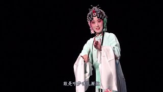 【王婕妤】昆曲-牡丹亭·寻梦